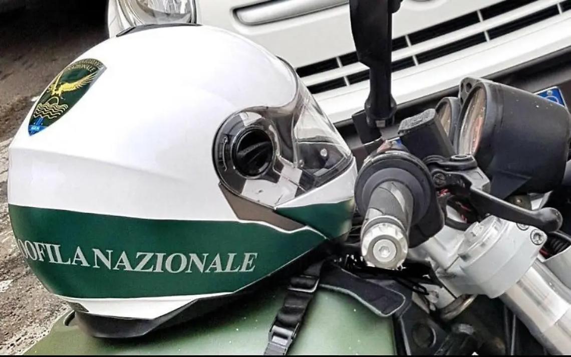 Fiumaretta, scintille sulla tutela animale