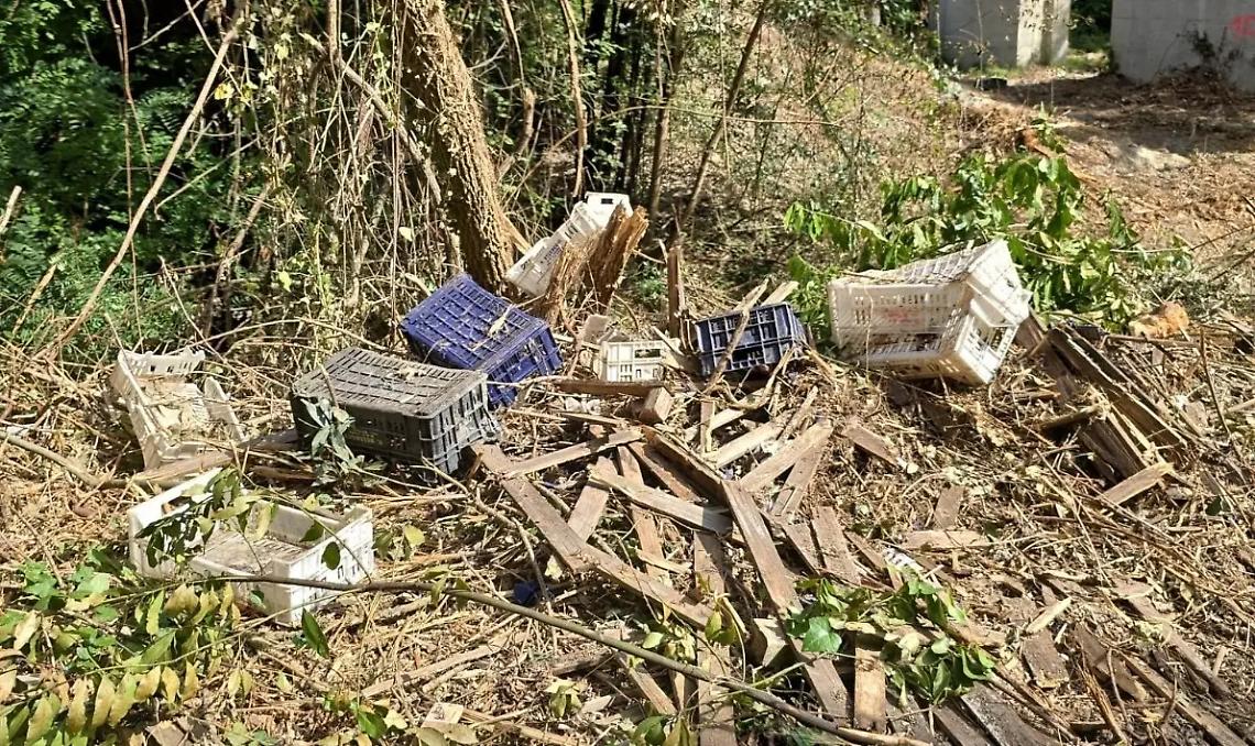 &laquo;Orte, una discarica abusiva da vergogna&raquo;