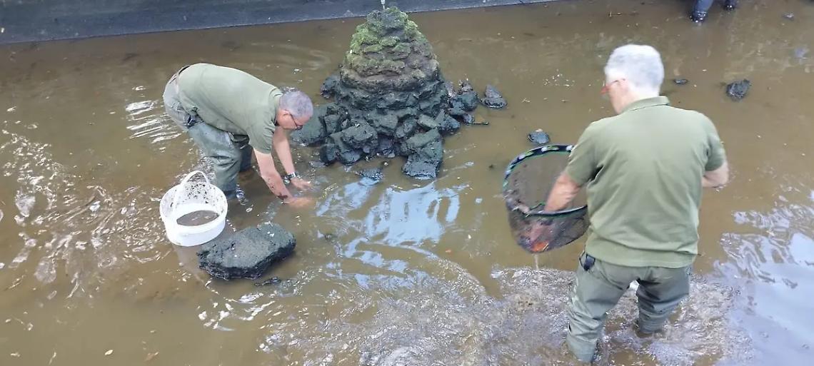 &laquo;Moria di pesci a Pratogiardino, Regione costretta a sostituirsi al Comune&raquo;
