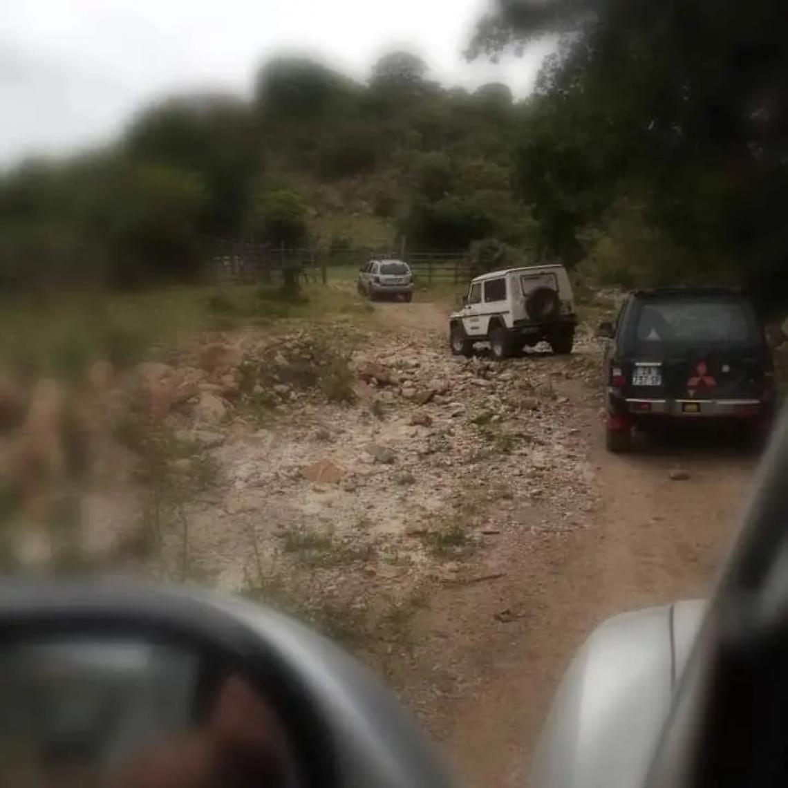 Si perde nel bosco di Allumiere mentre cerca i funghi: 65enne ritrovato dai vigili del fuoco