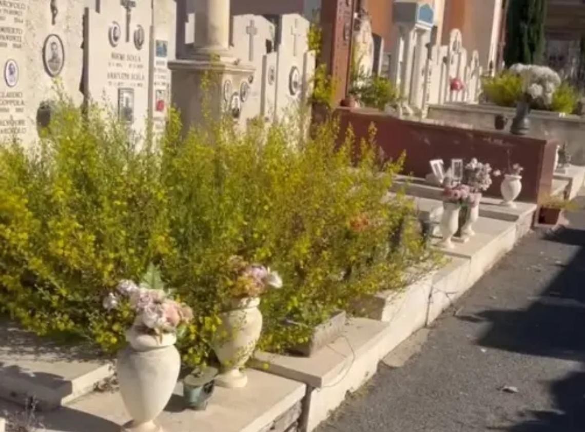 Cimitero monumentale immerso nel degrado