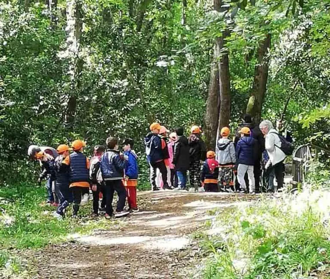 &laquo;&Egrave; un bene troppo prezioso: non saremo spettatori al degrado del nostro bosco&raquo;