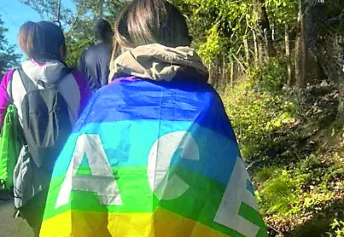 Commenti entusiasti dopo l&rsquo;evento &ldquo;Insieme per la pace&rdquo;