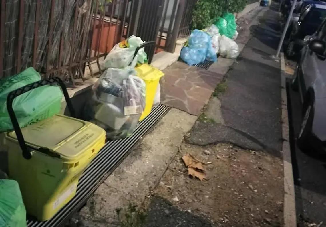 Mecozzi: &laquo;Un sistema che sta mostrando tutti i suoi limiti&raquo;