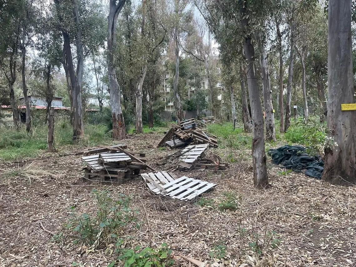 Santa Severa, criticit&agrave; legate alla manutenzione del verde pubblico, alla pulizia degli spazi comuni, alla gestione dei rifiuti e alla viabilit&agrave;