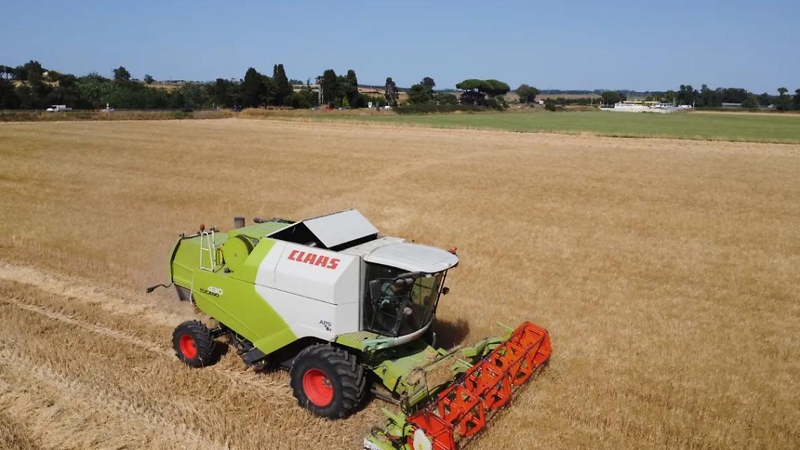 Crolla il prezzo del grano, settore agricolo sempre pi&ugrave; a rischio