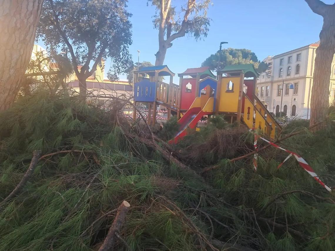 Potature senza preavviso: bambini a casa