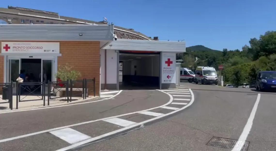 Anziana aggredita da un cane mentre torna a casa con la busta della spesa