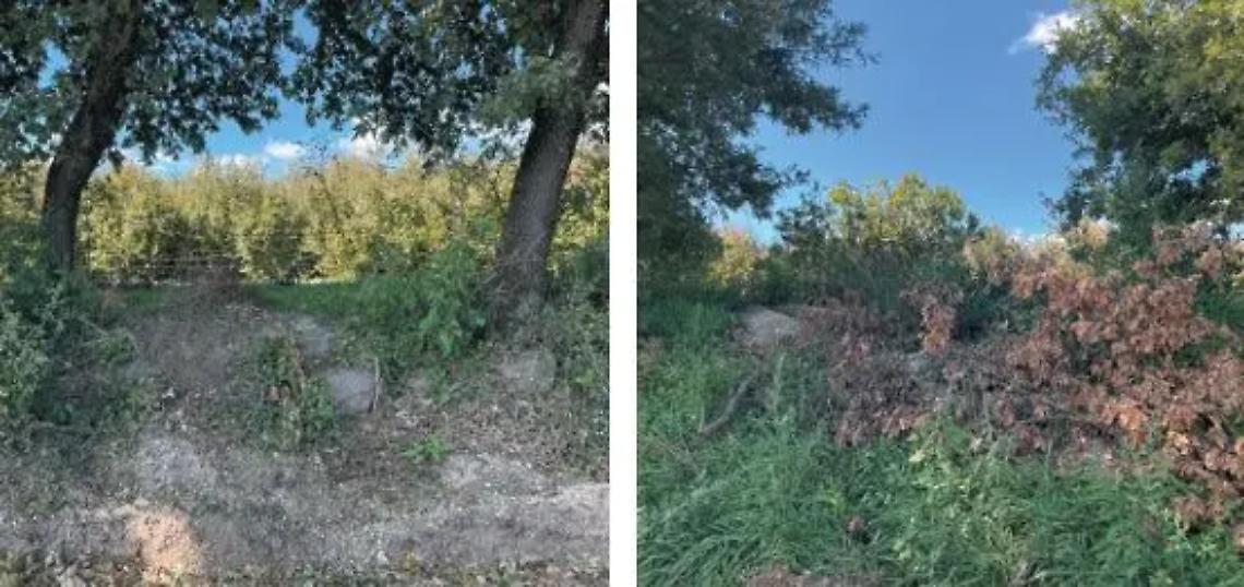 &laquo;Sfregio alla storia e all&rsquo;ambiente&raquo;