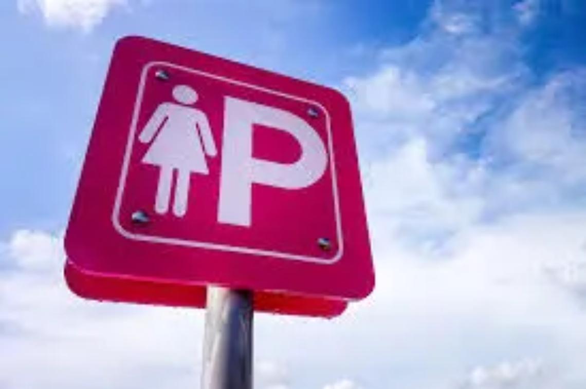 &laquo;A fine mese i tagliandi dei parcheggi rosa&raquo;