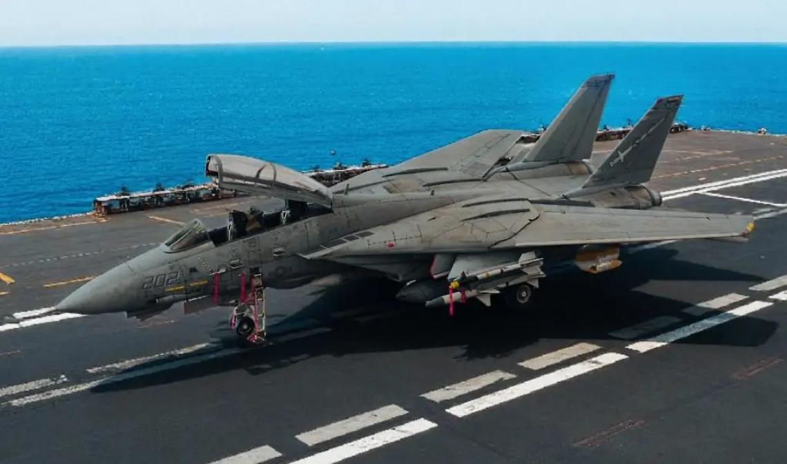 Gli artigli del felino