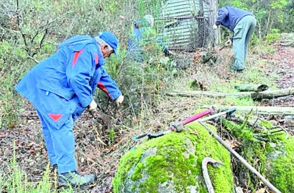 Tolfa, smantellato un canile abusivo e ripulito il tempietto etrusco