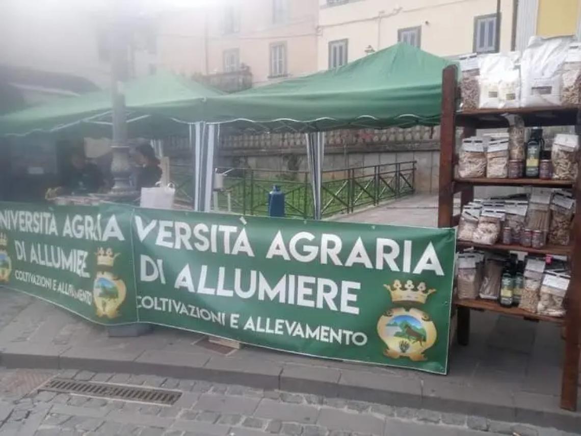 L&rsquo;Universit&agrave; Agraria di Allumiere protagonista alla 127&ordf; Fieracavalli di Verona: il Cavallo Tolfetano porta in alto il territorio