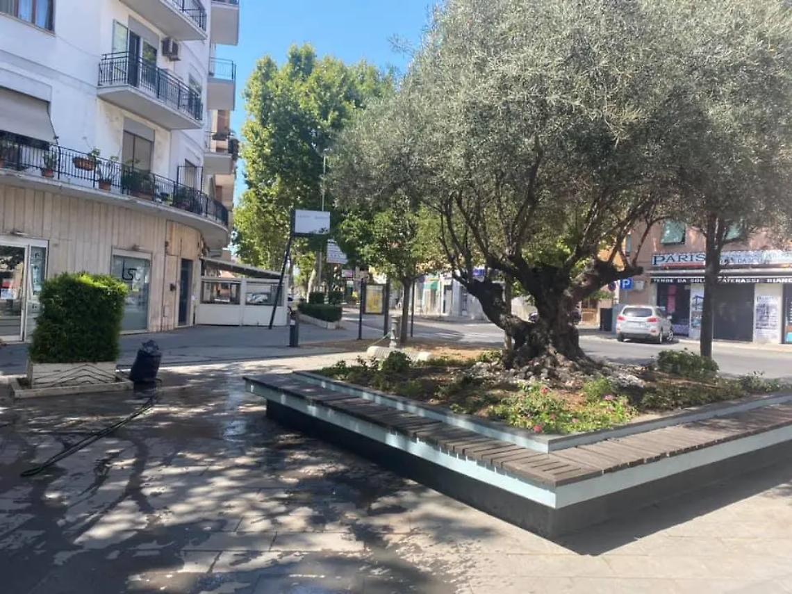 Caos a Largo Monsignor D&rsquo;Ardia, militari evitano il peggio