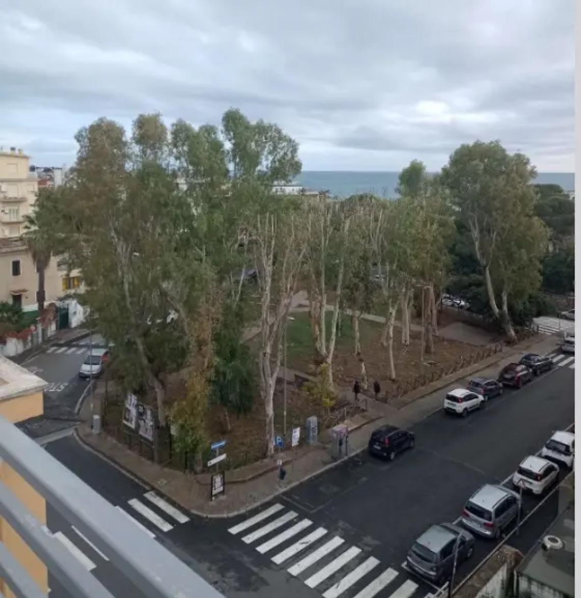 Piazza Verdi, saranno abbattuti cinque alberi