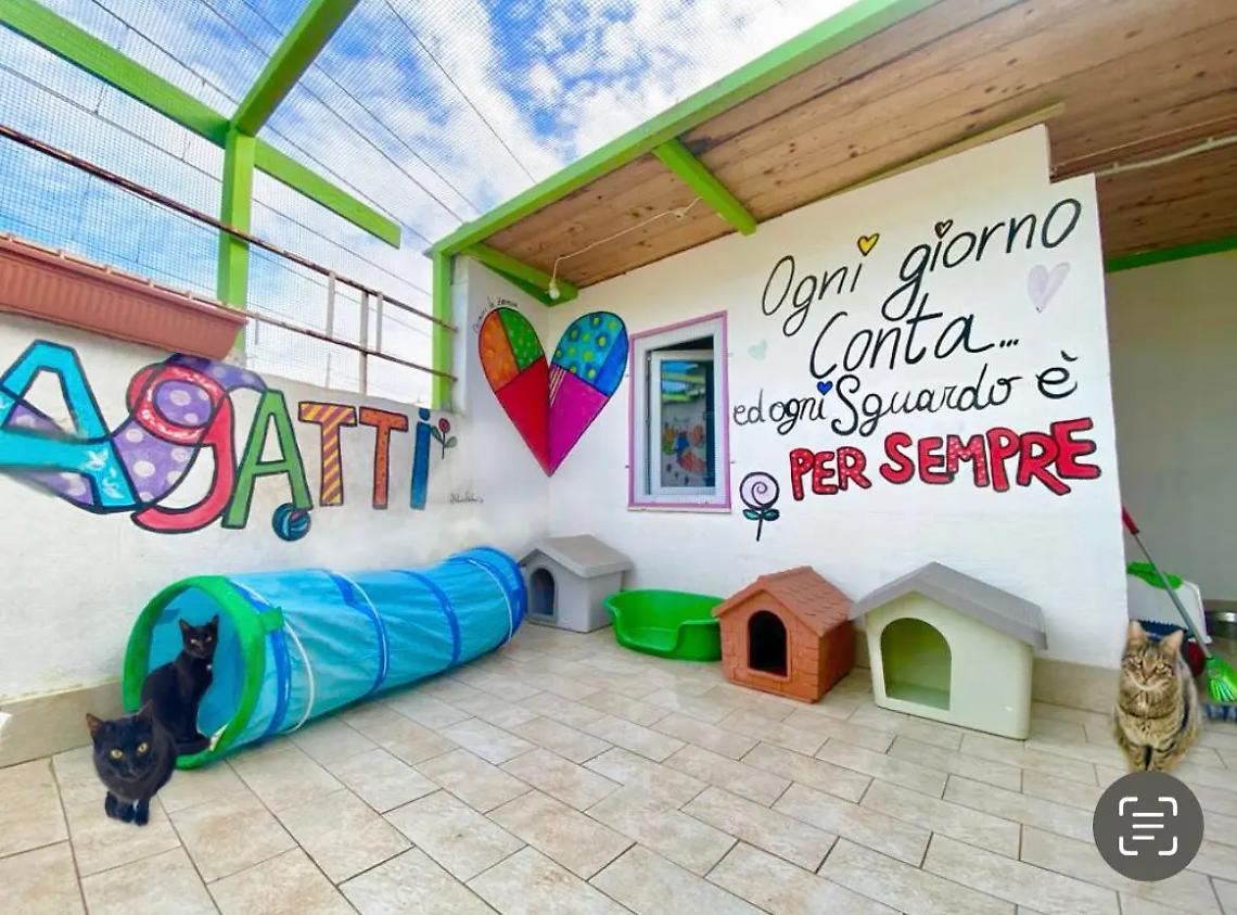 Dodici anni al servizio dei &ldquo;pelosetti&rdquo; pi&ugrave; bisognosi del territorio