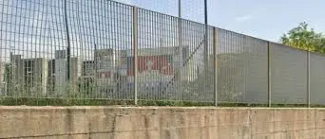 &laquo;Topi all&rsquo;istituto Farnese&raquo;