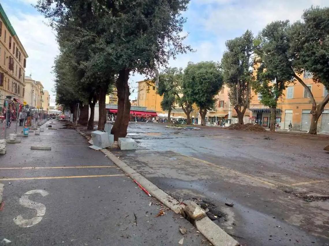 Perizie sugli alberi, il M5S critico