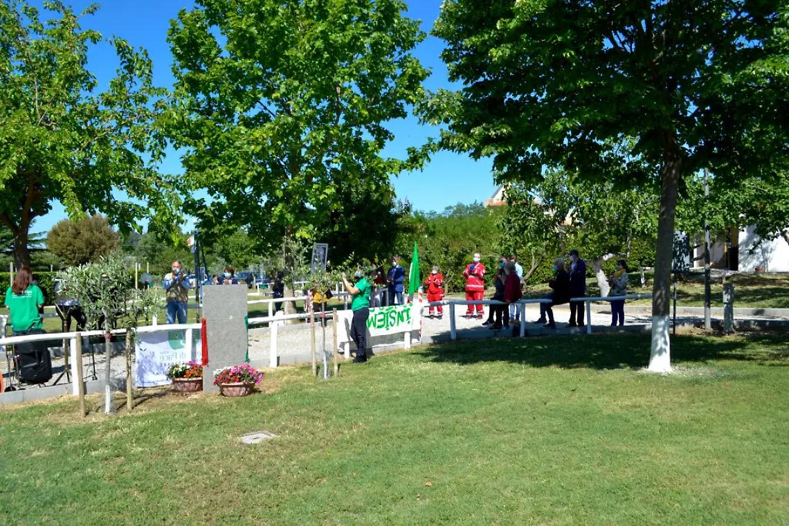 Tarquinia, Semi di pace festeggia il primo anniversario di attivit&agrave; del gruppo di auto mutuo aiuto