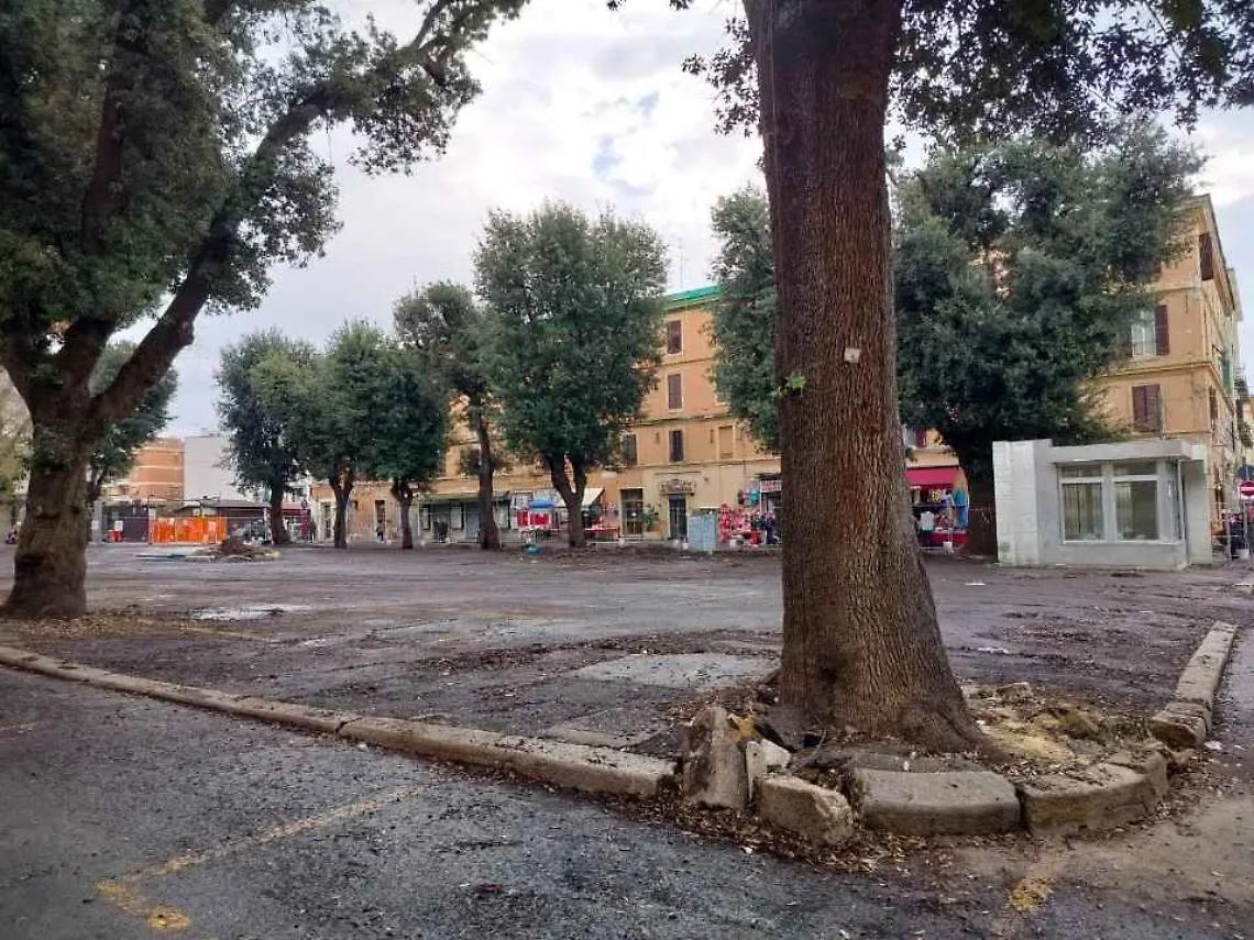 &laquo;Difendere gli alberi non significa opporsi al cambiamento&raquo;