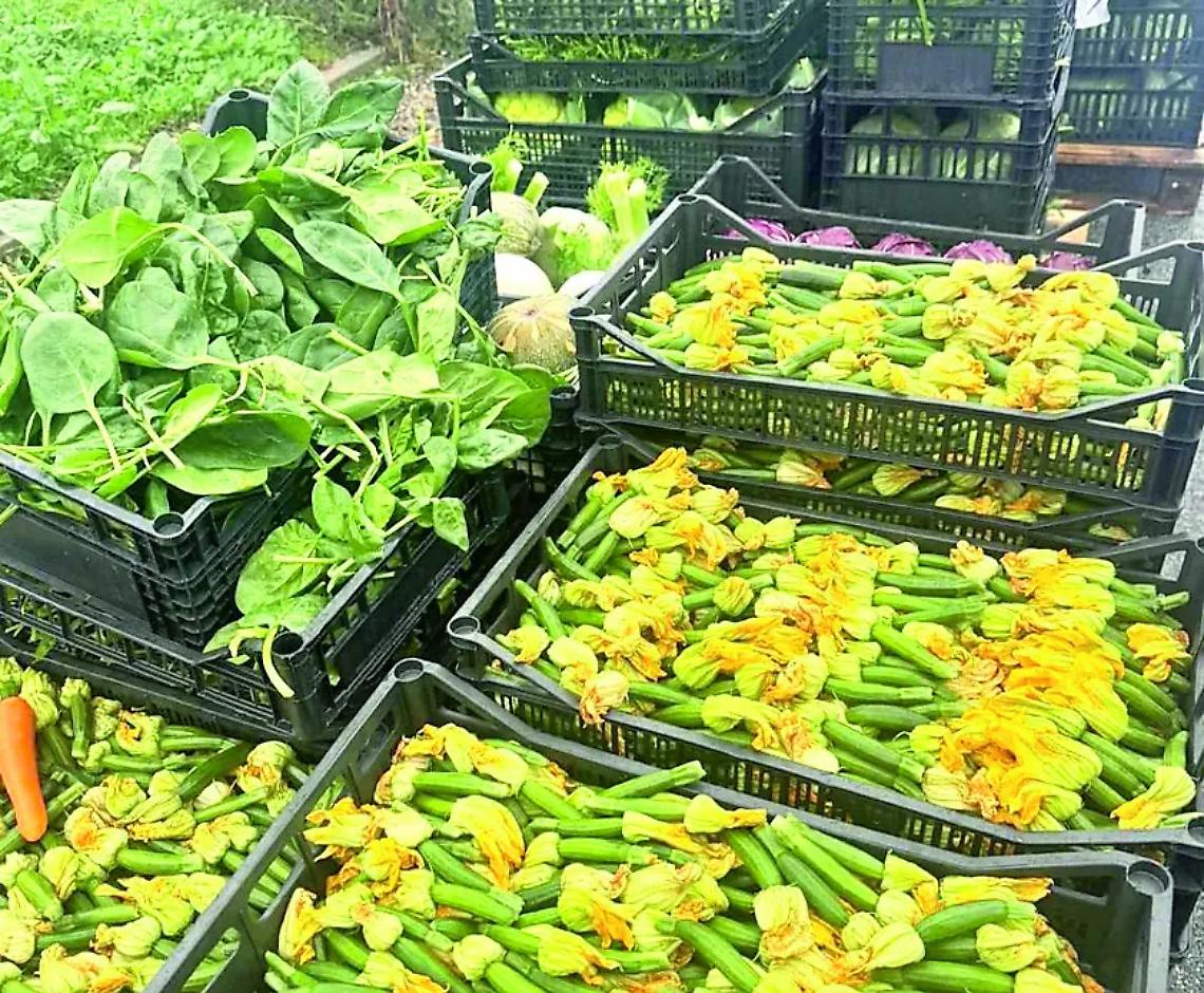 Aumentano le richieste di aiuto: la Misericordia riapre la distribuzione dei beni di prima necessit&agrave;