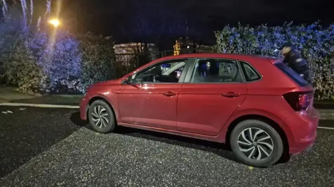 &ldquo;Lesioni devastanti&rdquo; per il 75enne investito e ucciso con il cane in via Rossini