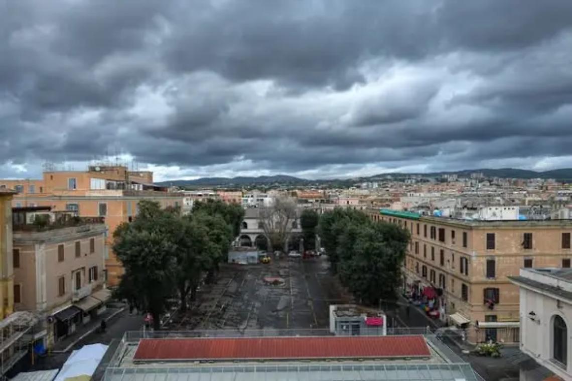 Angeloni: &laquo;La strage dei Lecci a Civitavecchia, bastava guardare su Amazon&raquo;