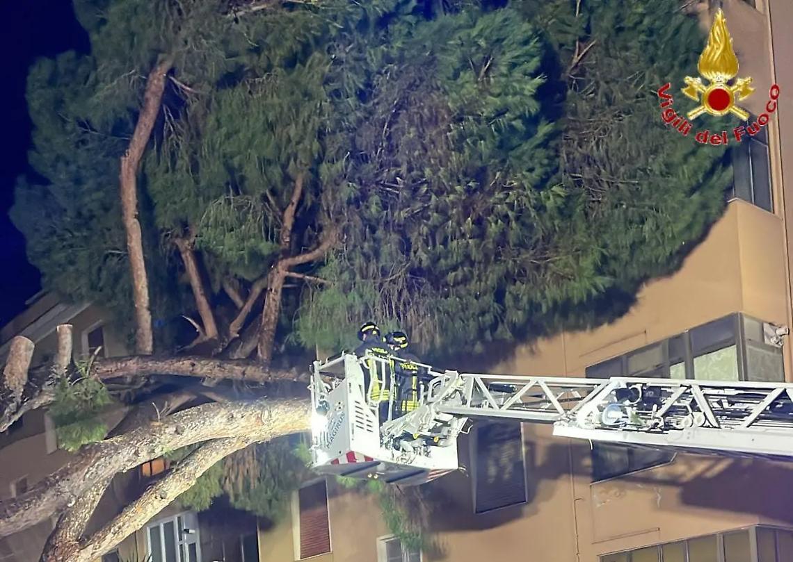 Due pini crollano su una palazzina: notte di lavoro per i Vigili del fuoco