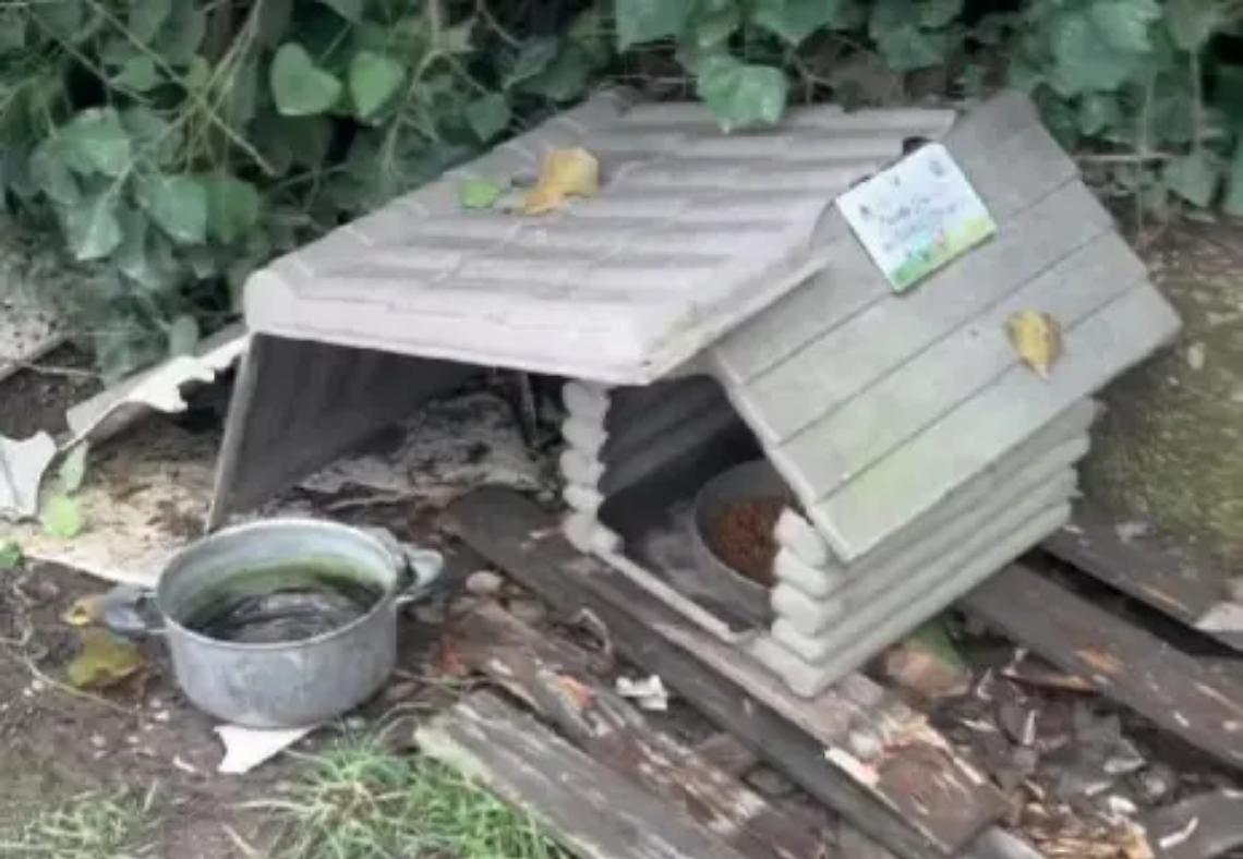 &laquo;Distrutte le casette della colonia felina&raquo;