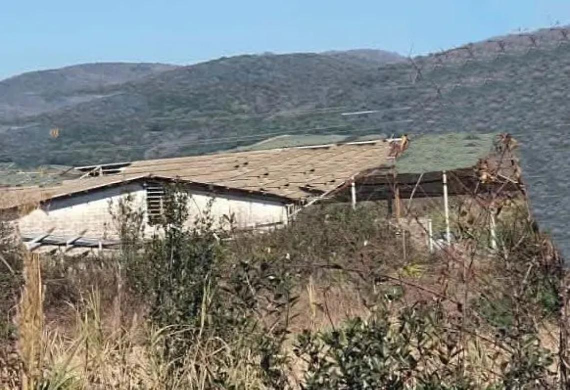 Tragedia in un capannone: pensionato di 77 anni muore schiacciato dal suo camion