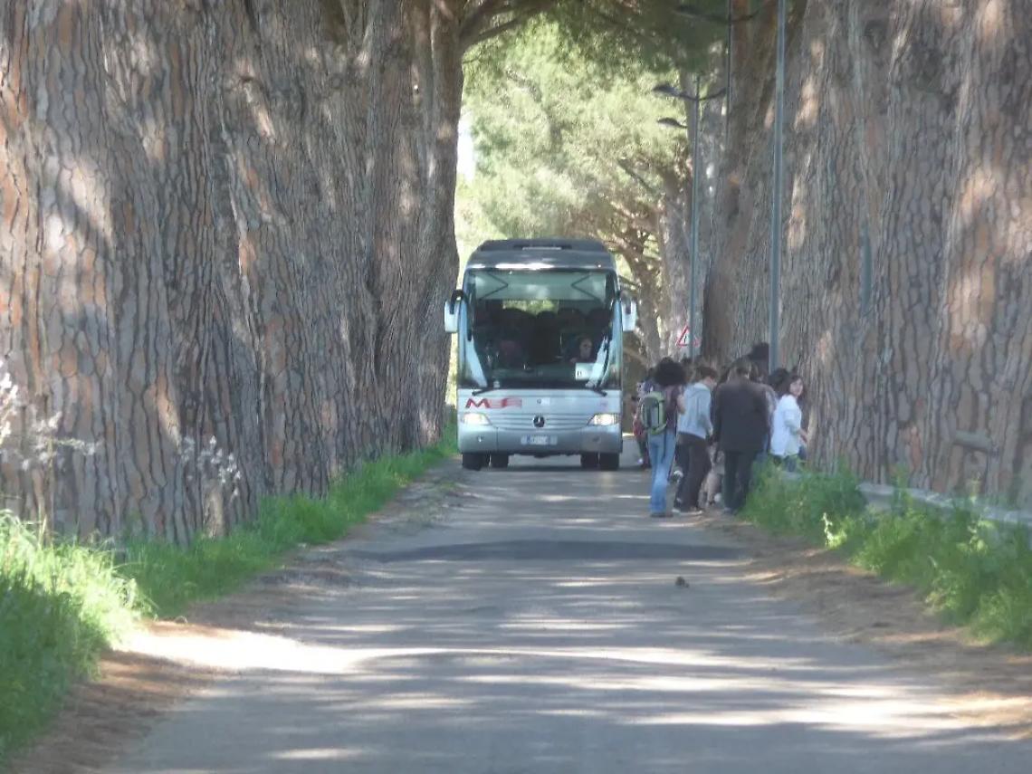 Potature sugli alberi, via della Necropoli chiusa 10 giorni