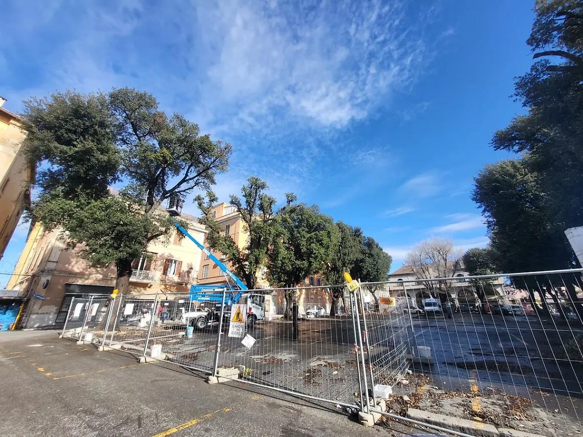 Mattinata di monitoraggi per gli alberi del mercato