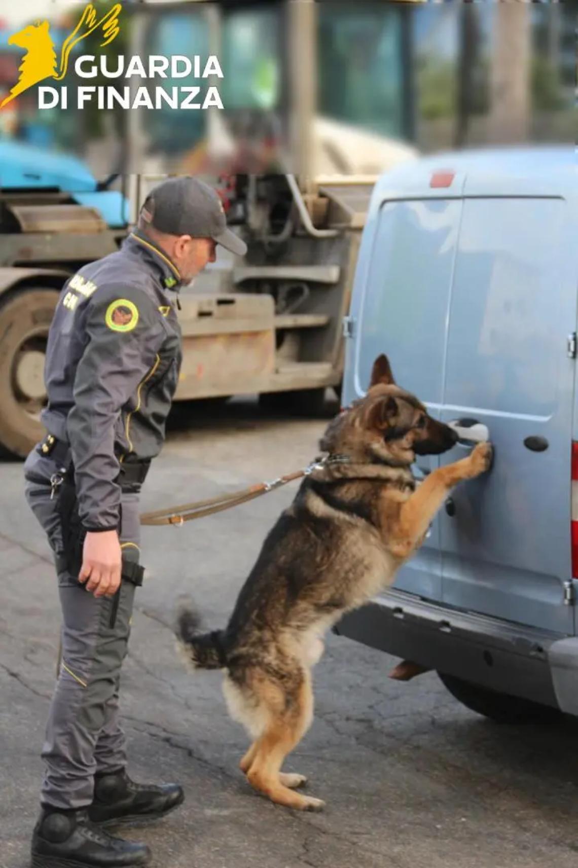 Il fiuto del cane della Finanza incastra un pusher