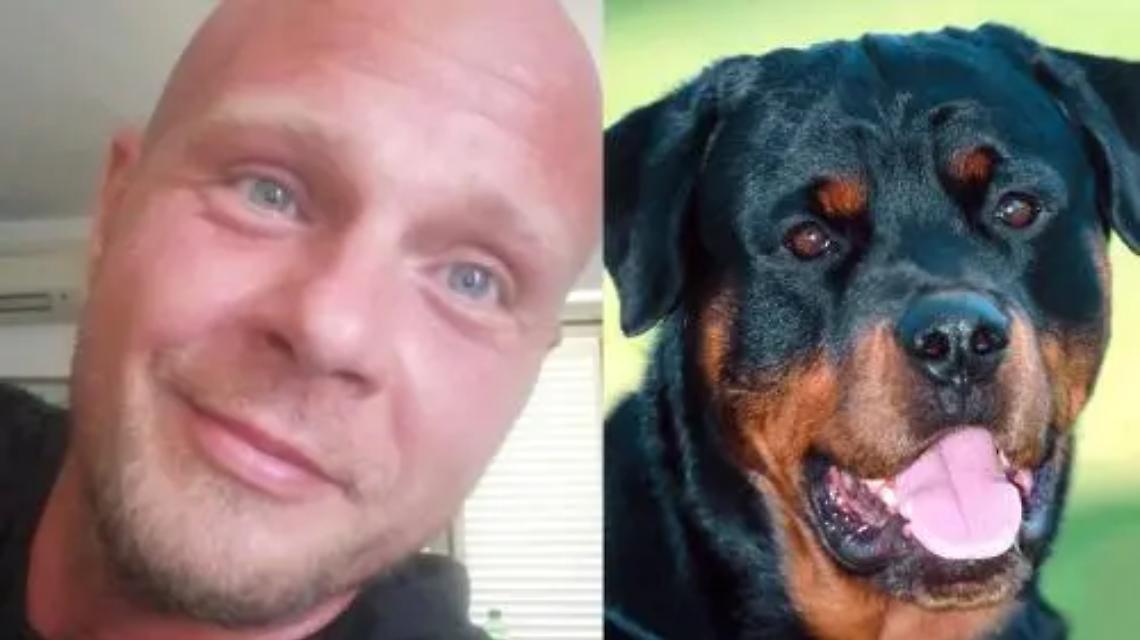 Sbranato dai cani, condannati i proprietari