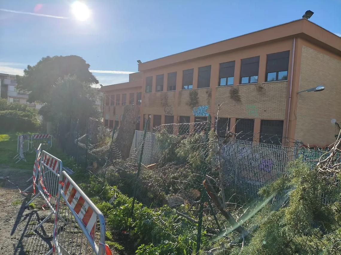 Abbattimenti all&rsquo;Uliveto: accesso agli atti del consigliere metropolitano Frascarelli