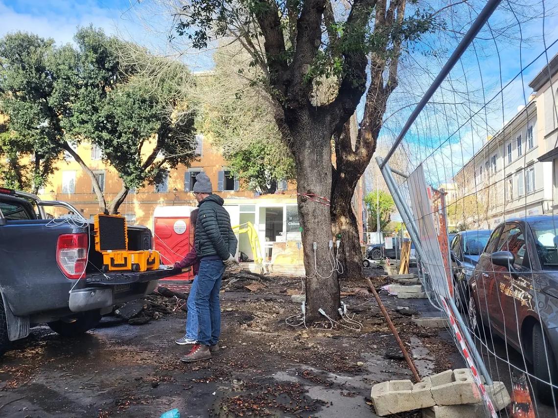 Lecci del mercato, &ldquo;nuova perizia&rdquo; ma stesso tecnico: monta la polemica