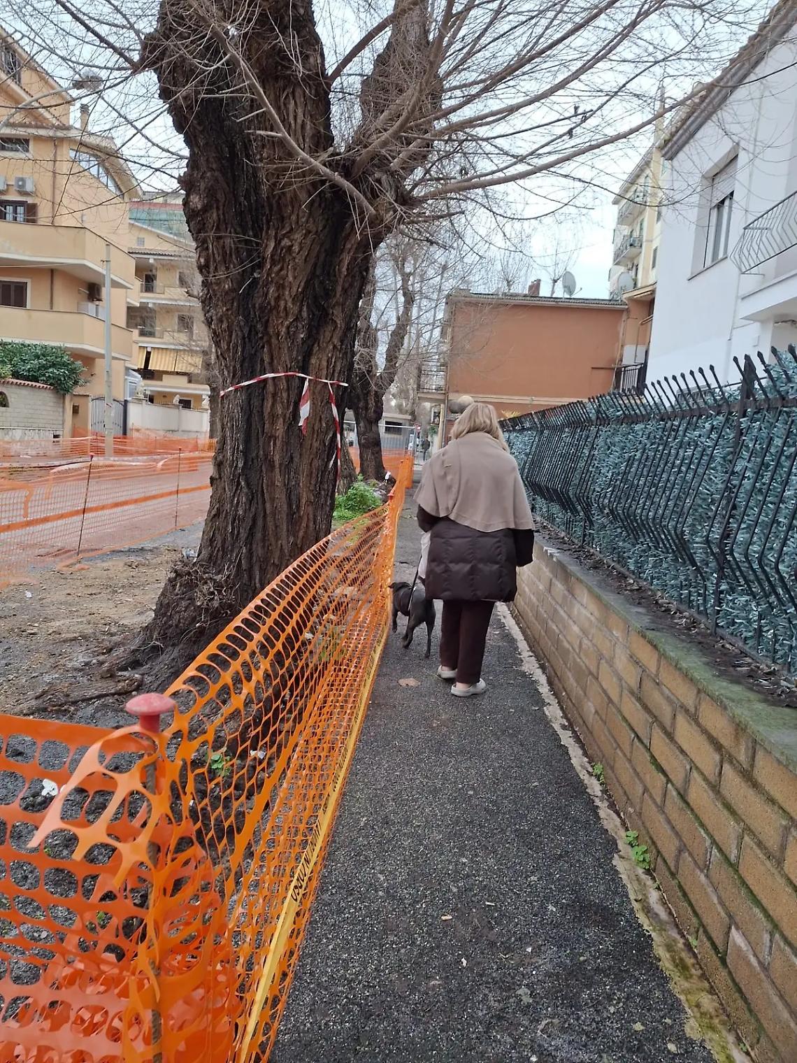 &laquo;Lavori lenti e pochi parcheggi in centro&raquo;