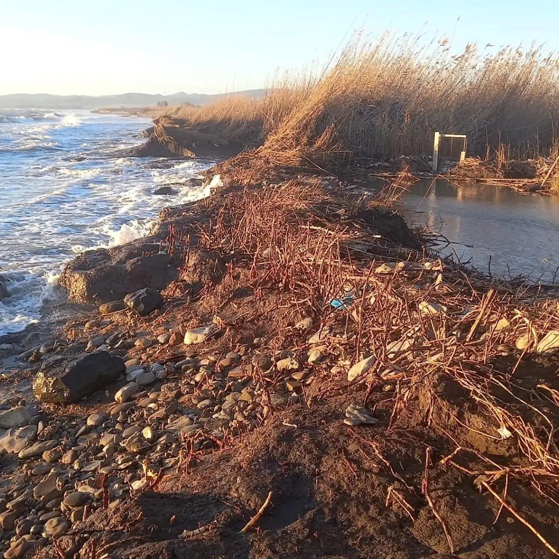 Il mare rompe gli argini ed entra in Palude. La sindaca: &laquo;La Regione intervenga&raquo;