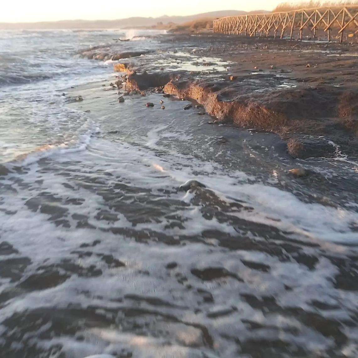 Il caso della Palude approda in Regione