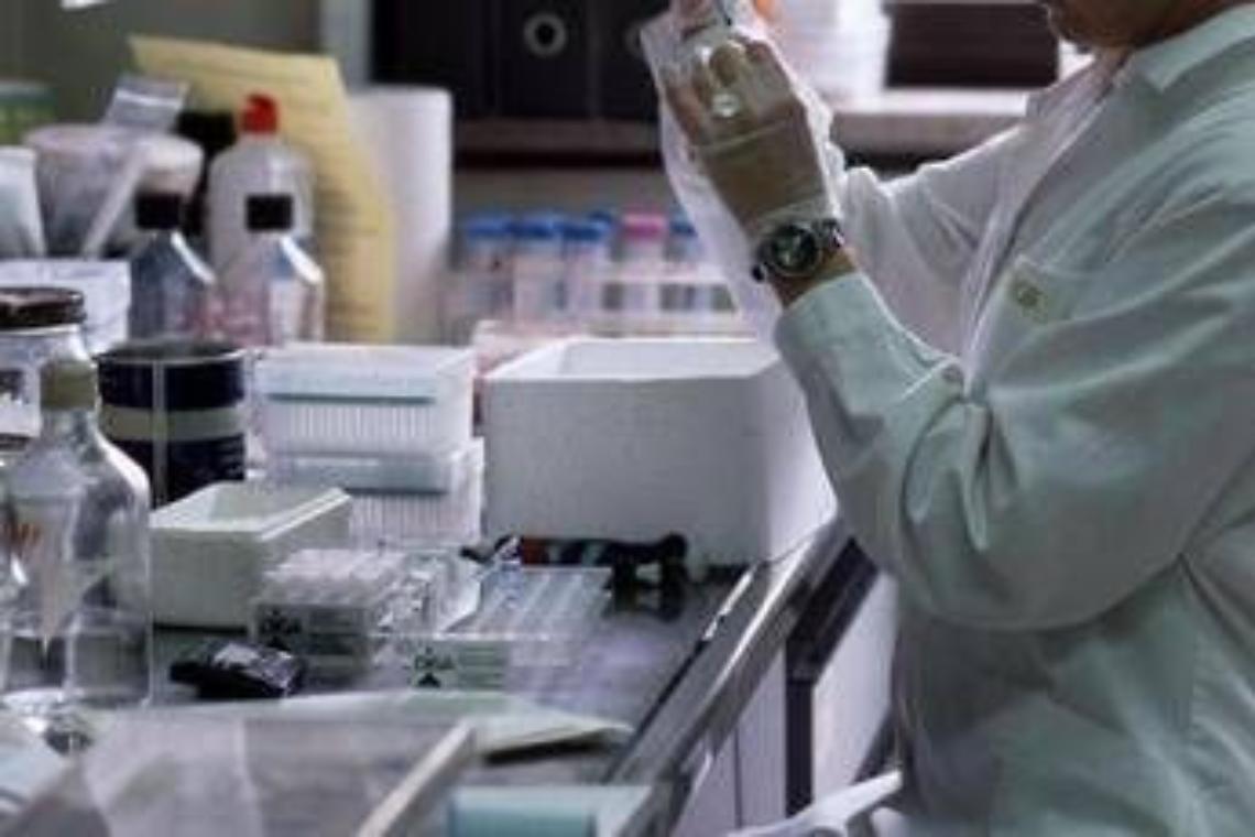 Malattie rare - fenilchetonuria, Cazzorla (Ao Padova): "Pi&ugrave; qualit&agrave; di vita con nuove cure"