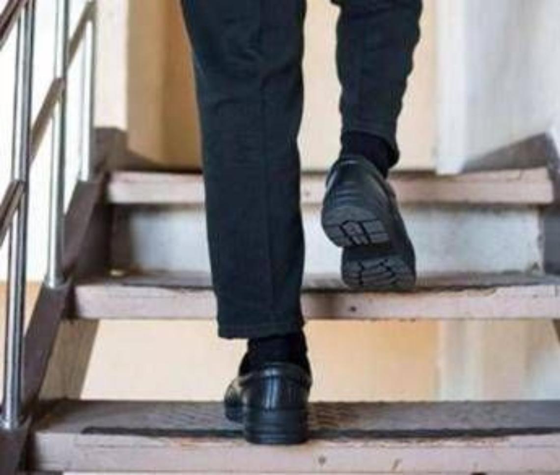 Salire (e scendere) le scale fa bene anche al cervello, lo studio