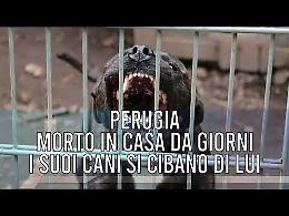 TG +24 edizione 17 Febbraio 2026