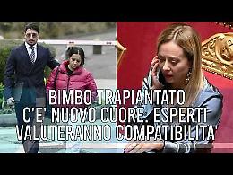 TG +24 edizione 18 Febbraio 2026