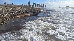 La Palude di Torre Flavia &egrave; a rischio: scatta un sopralluogo per salvarla