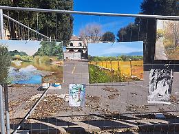 Piazza Regina Margherita, l'arte scende in campo a difesa degli alberi 