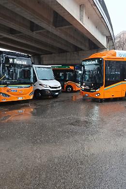 &laquo;Viterbo: disagi e autobus ammassati sotto al ponte&raquo;