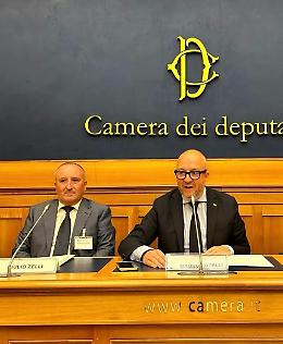 Rotelli: &ldquo;Congratulazioni a Giulio Zelli per la conferma alla guida della Commissione Agricoltura&rdquo;
