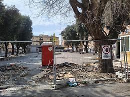 Mercato, si salvano solo 2 alberi