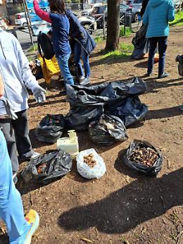 Giornata di pulizia ambientale per Plastic free e Asl di Viterbo