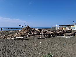 Canne e rifiuti in spiaggia: via alla pulizia straordinaria prima di Pasqua